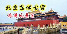 国产视频破处中国北京-东城古宫旅游风景区